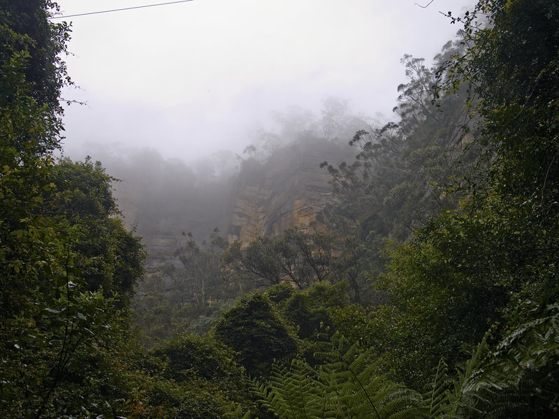 Blue Mountains